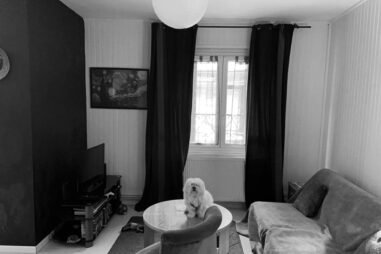 {{brizy_dc_image_alt imageSrc=