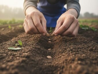 An image illustrating Quelles sont les démarches pour créer une entreprise